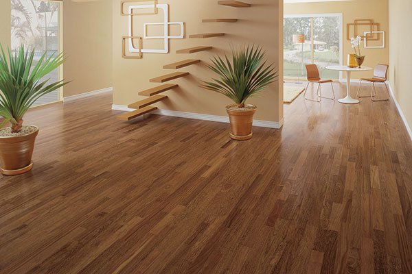 ambiente-sucupira-1 (1)