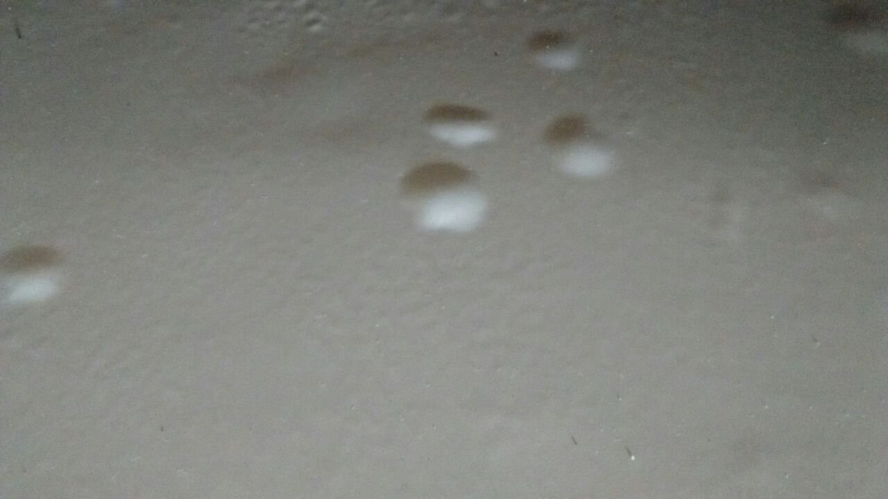 LiquidPiso