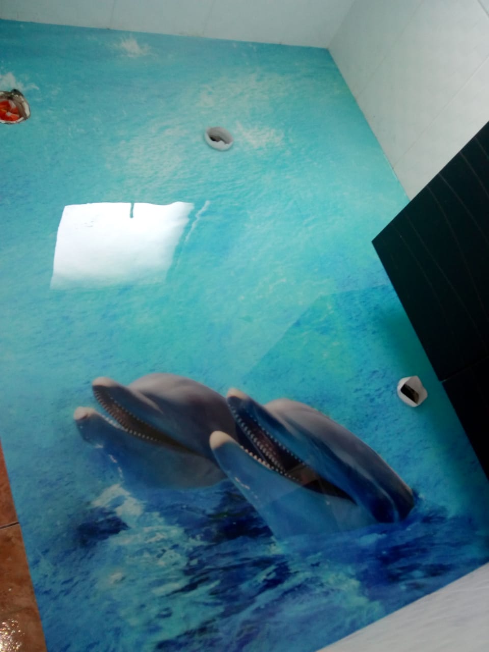 Porcelanato Líquido 3d Desenho Golfinho!